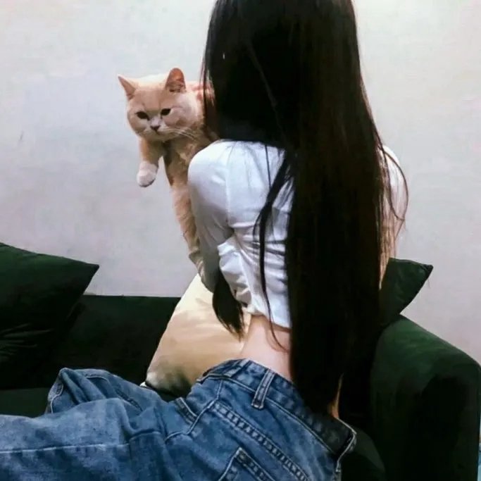 酒窟藏娇